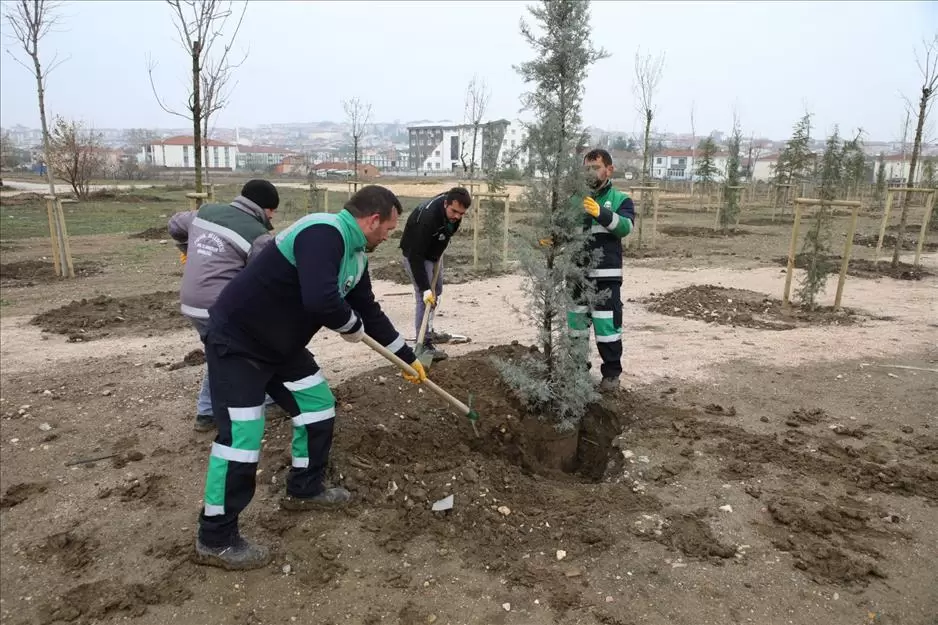 167 fidan engelliler için toprakla buluştu