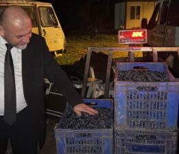 Orhangazi Belediyesi Tarım A.Ş. yeni bir başarıya imza attı
