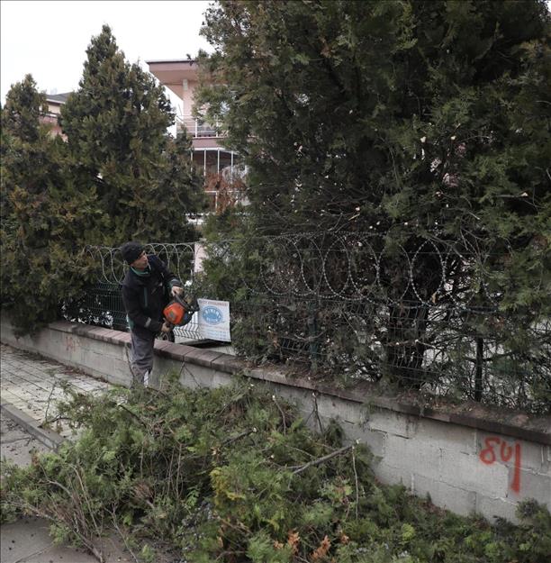 İnegöl genelinde ağaç budama çalışmaları sürüyor