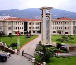 Altın Çınar Uluslararası Kısa Film Yarışması başvuruları başladı