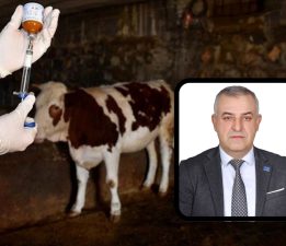 A Parti Mustafakemalpaşa’dan şap hastalığı açıklaması: “Görülmemiş olay”