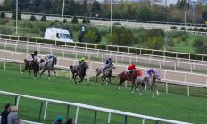 DEMRENİN KIZI, AGSYD Geleneksel Koşusu’nun Şampiyonu Oldu