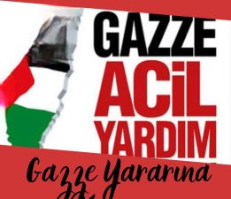 Yeliz Toy’dan Sert Tepki: “Öğrencinin Simit Parasına Göz Diktiler!”