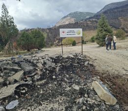 Gözümüzü Boyamak İçin Ağaçlandırma Yapacaklar!