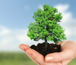 “Fidan Dik, Geleceğe Nefes Ol”