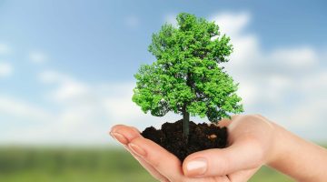 “Fidan Dik, Geleceğe Nefes Ol”