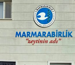 “Gerçekleri Kaynağından Öğrenmek, Dürüst Siyasetin Gereğidir”