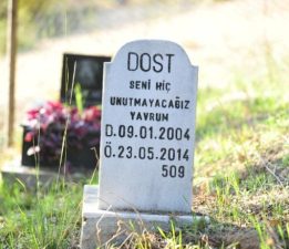 “Bu ülkenin sokakları masumların mezarlığı olmayacak!”