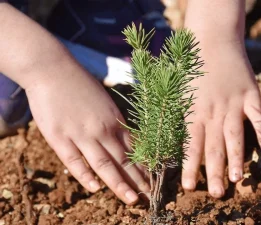 2.668 Fidan Toprakla Buluştu