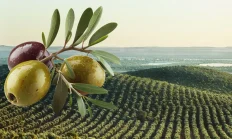 Bir Yaşamın ve Geleceğin Teminatı