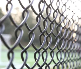 Kestel’de Piknik Alanı Kapalı: Vatandaşlar Tepkili, Sokak Hayvanları Mağdur